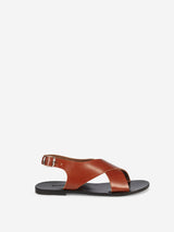 Pereg tamba leather